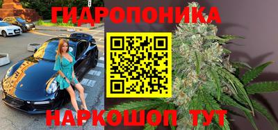 дурь Будённовск